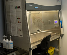 Biosafety Cabinet 3